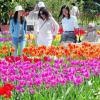 Rosen, Tulpen, Nelken, alle Blumen welken - nur die Liebe nicht . . . Und deswegen kann man ab 2011 auch im Botanischen Garten heiraten. Archivfoto: Anne Wall