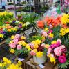 Passend zum Frühlingsanfang werden am Günzburger Wochenmarkt bunte Blumen und Sträuße verkauft.