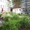 Bei den Bauarbeiten haben Freiwillige den Garten des Hospitals Zusmarshausen erneuert. 	