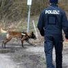 Bei Vermisstensuchen kommen auch Spürhunde zum Einsatz. Die Polizei bildet eigene Staffeln aus, in Bad Wörishofen waren aber beispielsweise auch 21 Hunde aus dem ehrenamtlichen Dienst im Einsatz. 
