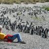 Karin Maria Wieser schrieb ein Buch über ihren dreijährigen Auslandsaufenthalt in Argentinien. Hier sieht man sie mitten unter vielen Pinguinen. 