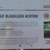 Ein Schild warnt Besucher des Sees vor Blaualgen und listet empfohlene Verhaltensweisen auf. 