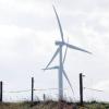 Der Bund Naturschutz sieht Biogasanlagen kritisch und plädiert für Bau von Windrädern