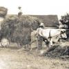 Als es noch keine vollautomatischen Maschinen für die Heuernte gab, mussten beim Heueinfahren alle Hand anlegen. Das Foto wurde 1925 in Nisselsbach am damaligen Anwesen Nr. 1 aufgenommen. Heute findet man dort nur noch einen Pferdestall. 