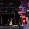 Ernstfried Prade aus Kinsau hat eine aufblasbare Transportbox für Hunde entwickelt. Er war bei der TV-Show "Das Ding des Jahres" auf ProSieben dabei.