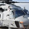 Der „Seelöwe“ der Firma Airbus Helicopters sieht ähnlich aus wie der „Seelöwe“ (im Bild). 