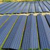 Der Bau von Freiflächen-Photovoltaikanlagen hat den Uttinger Gemeinderat wieder beschäftigt.