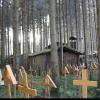 Über 40 Hütten hat der vor über einem Jahr verstorbene Eremit von Baumgärtle in einem Wald gebaut. Wie geht es mit seinem Erbe weiter?  	