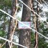 Die Aufschrift: „Afrikanische Schweinepest bei Wildschweinen Kerngebiet" steht auf einem Schild an einem Baum hinter einem mobilen Elektrozaun.