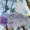 Der Name Chiara steht am Montag (05.12.11) auf von Kindern gemalten Bildern die an einem Baum auf dem Schulhof der Grundschule in Krailling haengen.  Schueler hatten die Bäume im Oktober gepflanzt, um an die achtjährige Chiara und ihre elfjährige Schwester Sharon zu erinnern. Die Mädchen wurden Opfer eines Gewaltverbrechens, das Bayern in diesem Jahr erschüttert hat. 