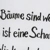 Bürger machten ihrem Ärger über die Fällung von stadtbildprägenden Bäumen in der Bürgermeister-Aurnhammer-Straße vor rund einem Jahr mit einem Plakat Luft.