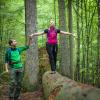 Im Urwald die Natur genießen: Das können Wanderer im Bayerischen Wald.