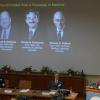 Der diesjährige Nobelpreis in Medizin geht an den Deutschen Thomas Südhof und seine beiden US-Kollegen James Rothman und Randy Schekman. 