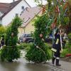 Traditionell sendet die Freiwillige Feuerwehr Altenmünster am Pfingstmontag ihre Wasservögel aus, um nach überliefertem Brauch die bösen Geister des Winters zu vertreiben. Andreas Weiß (links) und Christoph Streil sind hier mit Bäumchenträger Niklas Schmid und ihren Begleitern auf dem Weg zum nächsten Haus. Etwa drei Stunden dauerte das Einkleiden (rechtes Bild) von Marcel Walter, Dominik Stuhlenmiller und Dorian Meissner. 