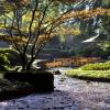 Der Japanische Garten gehört zu den schönsten Orten in Augsburg.