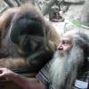 „Selbst die besten Zoos basieren auf der Grundidee von Gefangenschaft“: Zoo-Architekt Jon Coe im Orang-Utan-Haus von Louisville.