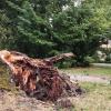 Ein Unwetter am späten Dienstagabend hat auch im Unterallgäu Schäden angerichtet. Im Kurpark von Bad Wörishofen beispielsweise stürzten große Bäume um. In Dirlewang verlor der Maibaum seine Spitze.