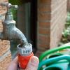 Wer mit dem Gartenschlauch gießt, sollte auf den richtigen Wasserdruck achten.