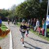 Bei bestem Wetter starteten am Sonntag viele kleine und große Läufer beim Meringer Marktlauf des TVM.