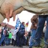 Milchbauern demonstrieren in Bayern gegen die aktuelle Milchpreispolitik.