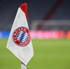 Der FC Bayern sorgt in der Familie Wedhorn für Kontroversen.