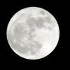 In der Nacht auf Dienstag ist der Mond besonders nah an der Erde. Er wirkt deshalb größer und heller.