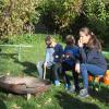 Im westlichen Bereich, wo dieses Foto im Oktober entstanden ist, soll die Blumenwiese des Ecknacher Kindergartens entstehen. 