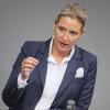 Alice Weidel von der AfD hat sich im Interview mit Phoenix mit einem Reporter gestritten.