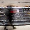 Wegen des Kriegs in der Ukraine werden mehrere Produkte in Supermärkten knapp.