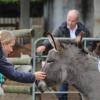 Entspanntes Kennenlernen: Der Paulihof bot am Sonntag den Besuchern die Möglichkeit, auch die Tiere kennen zu lernen