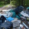 Das Bild zeigt einen Müllhaufen im Wald bei Blaubeuren-Asch. Der Müll wurde Mitte Mai im Gewann-Schlag zwischen Asch und Bühlenhausen nahe der Landesstraße entdeckt.