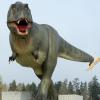In Denkendorf wird derzeit ein „Dinopark“ gebaut. 