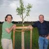 Streuobstwiese Bobingen
Peter Mannes und Berthold Reiter vor der Silhouette von Bobingen mit einem neu gepflanzten Apfelhochstamm der Sorte "Landsberger Renette".