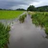 Überschwemmungen nahe Gerlenhofen am vergangenen Wochenende.