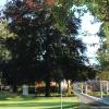 Blick in den herrlichen Garten des Kindergartens St. Josef. Ein Teil wird wohl einem Erweiterungsbau weichen müssen. Die Architektin stellte als eine interessante Variante ein Baumhaus rund um die dominierende Rotbuche im Süden des Grundstücks vor. 