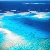 Das größte Korallenriff der Welt ist bedroht.
