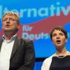 Die AfD-Parteivorsitzenden Jörg Meuthen und Frauke Petry Anfang Mai auf dem AfD-Bundesparteitag in Stuttgart.