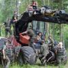 Kampf um den Urwald Bialowieza: Waldschützer wollen die Rodung stoppen und besetzen die Maschinen. Doch der polnische Staat setzt sich über den Widerstand ebenso hinweg wie über das Urteil des Europäischen Gerichtshofs.  	 	