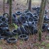 In einem Waldstück zwischen Witzighausen und Weißenhorn wurden etwa 50 illegal entsorgte Reifen gefunden.  