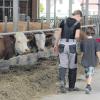 Schüler schauen sich auf dem Hof der Familie Bohnacker in Burtenbach genauer um und beobachten die Milchkühe beim Fressen. Allein 40 Kilogramm Silage frisst eine Kuh an einem Tag. 