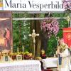Tausende Gläubige kommen an Mariä Himmelfahrt nach Maria Vesperbild, um dort mit Erzbischof Georg Gänswein zu beten. Viele warten lange für eine Unterschrift.