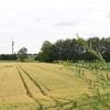 Dieses Grundstück am östlichen Ortsrand Batzenhofens  dient noch der Landwirtschaft. Ein Investor möchte darauf Wohnungen bauen.