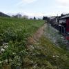 Die landwirtschaftliche Fläche nördlich der Eichenstraße ist noch unbebaut. Nach dem Wunsch der Anwohner soll das auch so bleiben. 