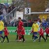 Der FC Pipinsried kickt die Münchner Löwen im Viertelfinale aus dem Toto Pokal.