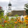 Diese Blumenwiese an der Greifenberger Straße inspirierte Echings Bürgermeister Siegfried Luge: Künftig sollen auch die gemeindlichen Flächen erblühen. Der Gemeinderat gab sein Okay. 