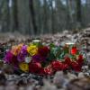 Blumen und Kerzen sind in Berlin in einem Waldstück an der Bärenlauchstraße abgelegt worden. An dieser Stelle war eine Frau tot aufgefunden worden.