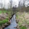 Der Pegel der Schwarzach stieg bei vergangenen Hochwassern extrem an.