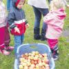 Jede Menge Äpfel sammelten die Mädchen und Buben vom Kindergarten Eurasburg. Diese wurden anschließend zu Saft gepresst. 