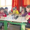 Eine ganz neue Welt entdeckt Paula Print bei der Schacharbeitsgruppe an der Inchenhofener Grundschule. Die sechs Viertklässler erklären ihr einige Regeln des Schachspiels und zeigen ihr, wie sich die Figuren auf dem Brett bewegen dürfen. 