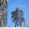 Spaziergänger gehen im Sonnenschein durch die verschneite Winterlandschaft im bayerischen Oy-Mittelberg Anfang des Monats.